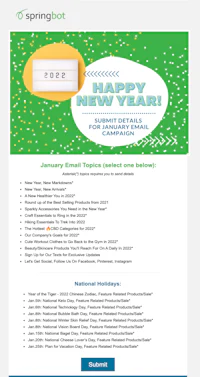 springbot's new year's e-mail